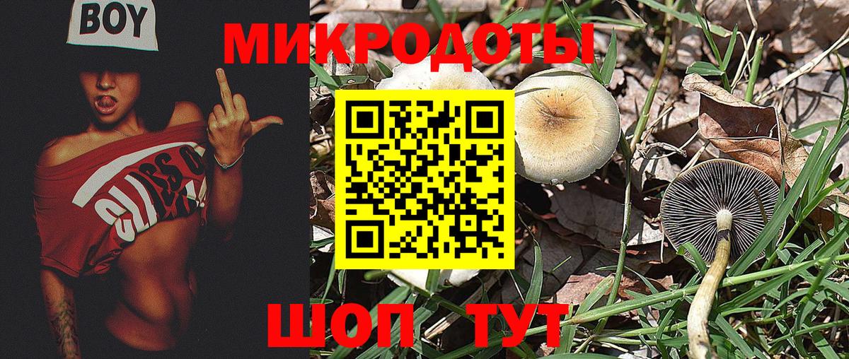 Галлюциногенные грибы Psilocybine cubensis  Галлюциногенные грибы ЛСД  Вход с VPN  Конаково 